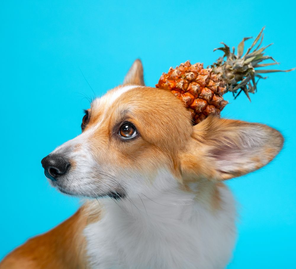 Party Like It's 1999